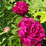 Janis_bowling76 - @janis_bowling76 - Instagram