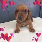 Janice Bowman - @janny.bowman - Instagram