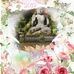 Janis Boyle - Facebook