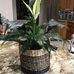 Janis Brewer - Facebook