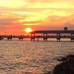 Janice Browning Harbin - @obellbh - Instagram