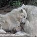 Janis Browning - Facebook