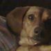 Janis Browning - Facebook