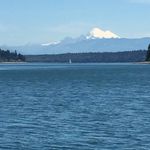 Janis Browning - @janismbrowning - Instagram