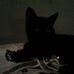 Janis Bruce - Facebook