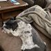 Janie Sue Busch - Facebook