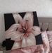 Janis Butler - Facebook