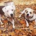 Janis Butler - Facebook