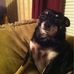 Janis Butler - Facebook