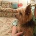 Janis Butler - Facebook