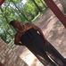 Janice Calhoun - Facebook
