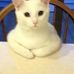 Janis Calhoun - Facebook