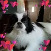 janiscameronroger - @janiscameronroger - TikTok