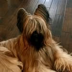 Janis Carpenter - @janiscarpenter9945 - Instagram