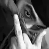Alex Castillo - @janiscastillo795 - TikTok