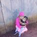 Janis Castro - Facebook