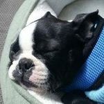 Janis Chambers Earls - @chambersearls - Instagram