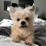 Janis Cherry - @jbabecherry - Instagram