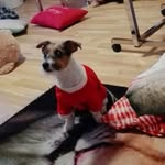Kleineannabelle - @janischewskijana81 - Instagram