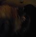 Christopher Janis - Facebook
