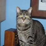 Janice Clements - @jclements.home - Instagram