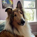Janis Collier - @janis.collier.311 - Instagram
