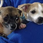 Janice Connell - @janice.connell.7 - Instagram