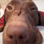 Janice Conner - @jan12121959 - Instagram