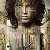 Janie Dees - @janiedees - TikTok