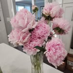 Janice Downs - @mikesgirl0601 - Instagram