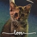 Janice Downs - @janice.downs.1 - Instagram