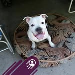 Janie Marie Dutton - @janieinhell50 - Instagram