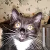 Janice Elder - @janice.elder7 - TikTok