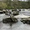 janisernsteins - @janisernsteins - TikTok