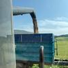 Janis_The_Farmer - @janis_the_farmer - TikTok