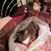 Janis Fields - Facebook