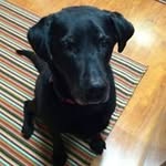 Janis Finley - @janisfinley - Instagram