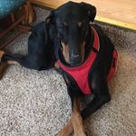 janis.fox.56 - @janis.fox.56 - Instagram