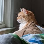 Janis Gillette Gilbert - @janis.gilbert.56 - Instagram