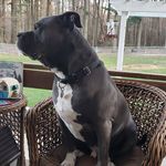 Janis Graham Lofberg - @grahamlofberg - Instagram