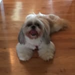 Janis Hale - @janis3325 - Instagram
