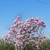 gregandjanishamm - @gregandjanishamm - TikTok