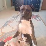 Janis Harmon Stock - @janstockcounseling - Instagram