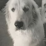 Janice Herbert - @grammyjan50 - Instagram
