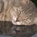 Janie Herron - Facebook