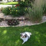 Janice Hurley - @jan.hurley - Instagram