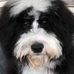 Janis Hurley - Facebook
