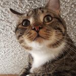 Janis M. Hurley - @janism.hurley - Instagram