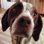 Janis Jackson - @muttersmail - Instagram