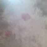 Janis susney Urrutia jaramillo - @janissusneyurrutia - Instagram